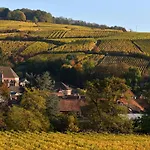 Ferienhaus Cocon D Alsace - Garage Inclus - Terrasses Ribeauvillé