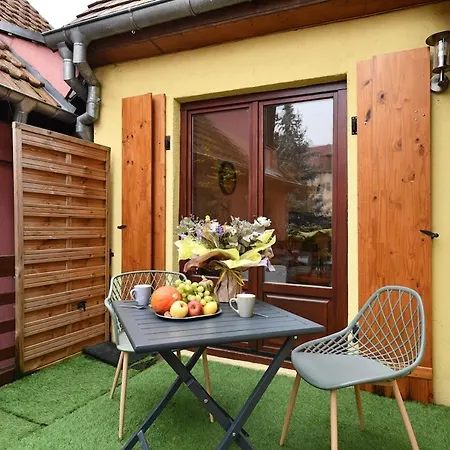 Cocon D Alsace - Garage Inclus - Terrasses Semesterbostad