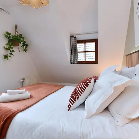 Cocon D Alsace - Garage Inclus - Terrasses Tatil Evi