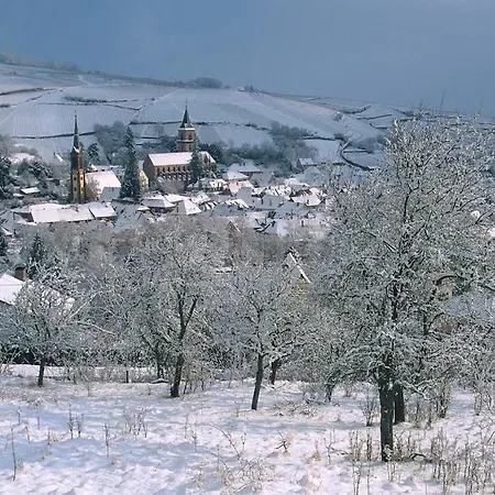 Tatil Evi Cocon D Alsace - Garage Inclus - Terrasses *