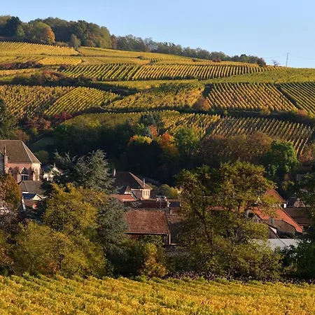 Tatil Evi Cocon D Alsace - Garage Inclus - Terrasses Ribeauvillé