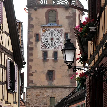 Cocon D Alsace - Garage Inclus - Terrasses Tatil Evi Ribeauvillé