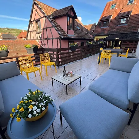 Cocon D Alsace - Garage Inclus - Terrasses