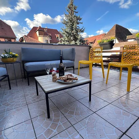 Cocon D Alsace - Garage Inclus - Terrasses Casa vacanze *