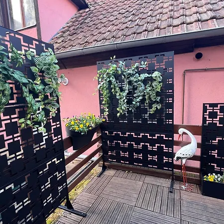 Semesterbostad Cocon D Alsace - Garage Inclus - Terrasses Ribeauvillé