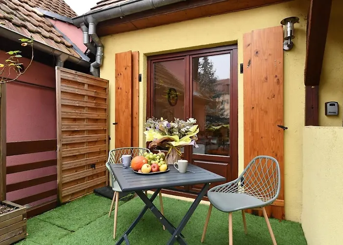 Cocon D Alsace - Garage Inclus - Terrasses Semesterbostad