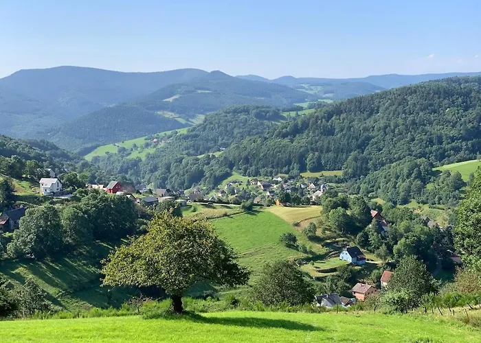 Cocon D Alsace - Garage Inclus - Terrasses *