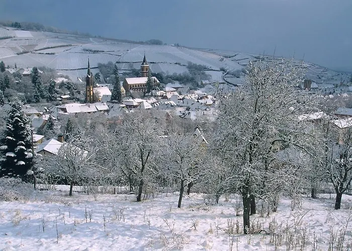 Semesterbostad Cocon D Alsace - Garage Inclus - Terrasses *