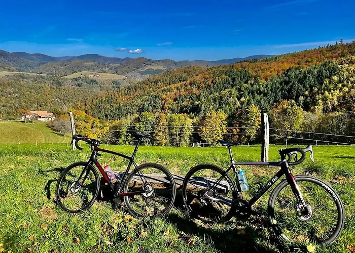 Cocon D Alsace - Garage Inclus - Terrasses Semesterbostad Ribeauvillé