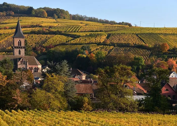 Semesterbostad Cocon D Alsace - Garage Inclus - Terrasses Ribeauvillé