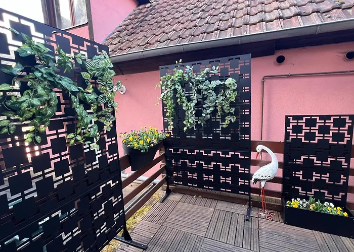 Semesterbostad Cocon D Alsace - Garage Inclus - Terrasses Ribeauvillé